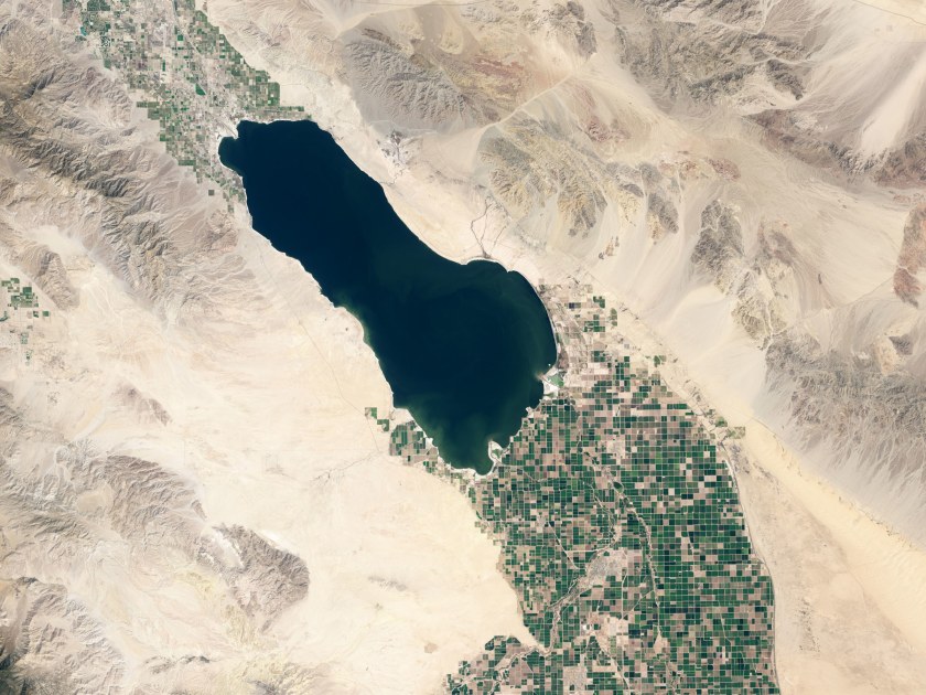 saltonsea_oli_2013083_2400-34